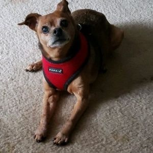 Meet your Posher, June